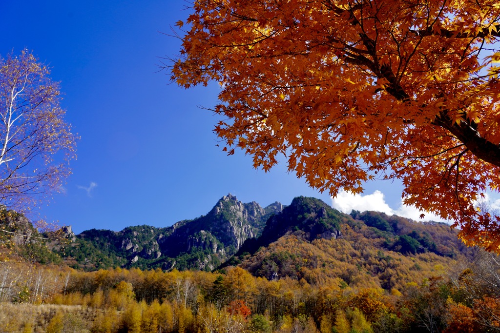 紅葉の瑞牆山1