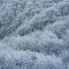 霧氷（雪景色が見たい）