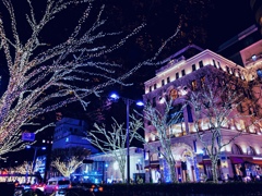 表参道の夜景