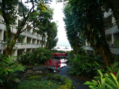 ハワイ島にて〜ホテルの中庭〜