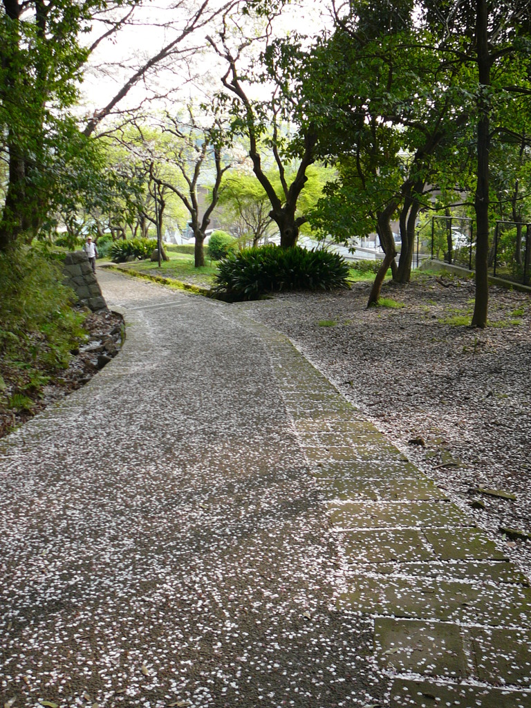 花道
