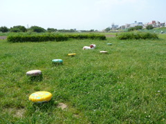 多摩川河川敷