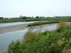 多摩川