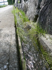 用水路