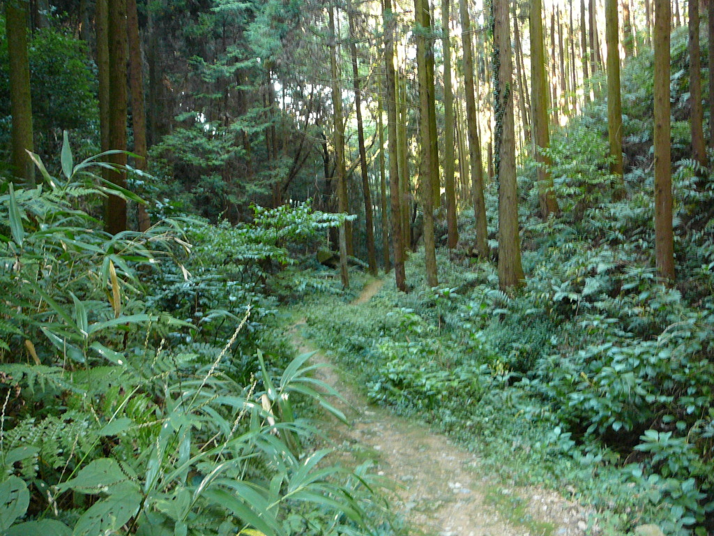 伏見稲荷神社にて〜山道〜