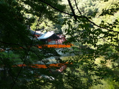 伏見稲荷神社にて〜対面から〜