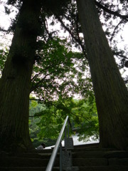 鹿教湯にて