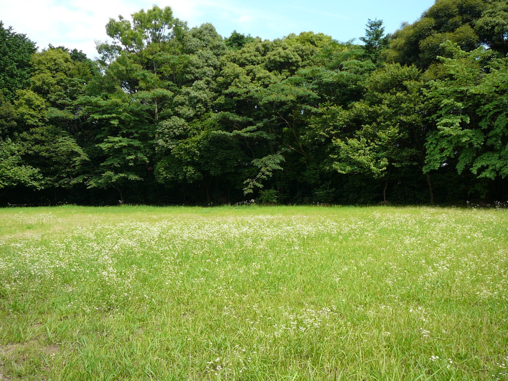一応公園