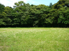 一応公園
