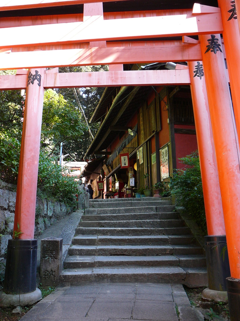 伏見稲荷神社にて〜鳥居の向こう〜