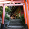 伏見稲荷神社にて〜鳥居の向こう〜