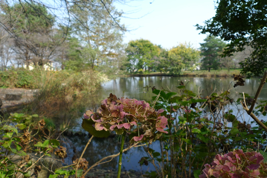狭山市智光山公園
