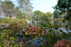 狭山市智光山公園