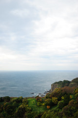 日本海の眺め