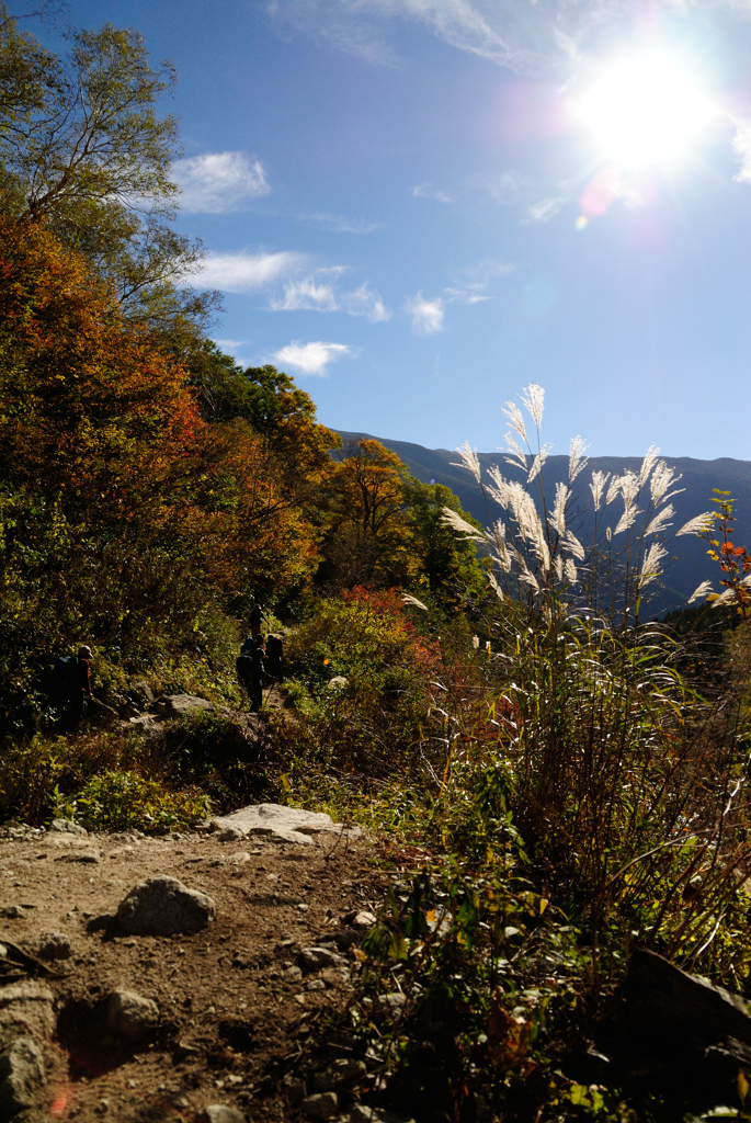 秋の山