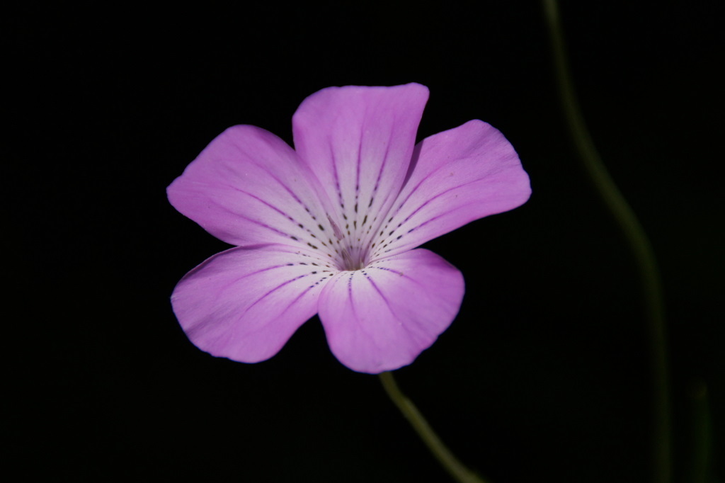 DSC08839