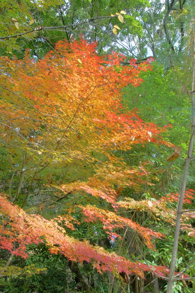 DSC00804