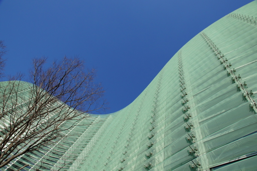 DSC04206