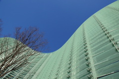 DSC04206