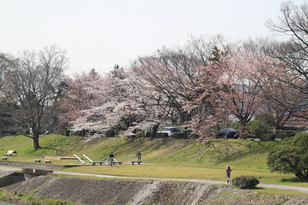DPP_jpg0416