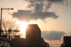 都会の夕日