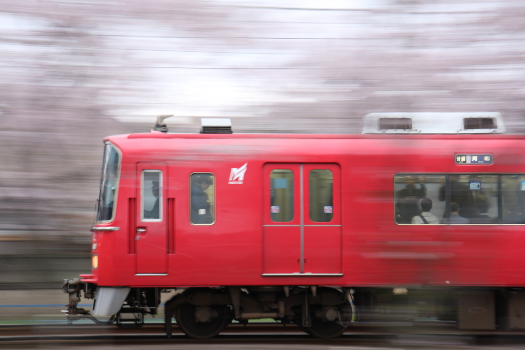 桜のトンネル