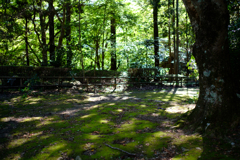雲巌寺にて
