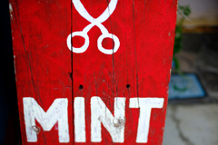 MINT
