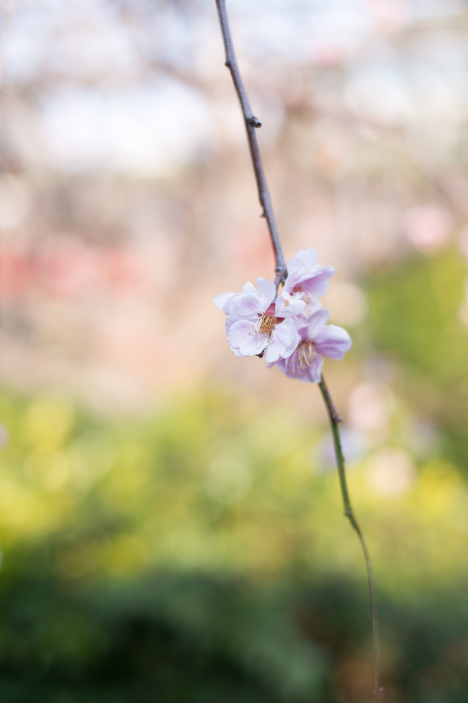 20140309_4