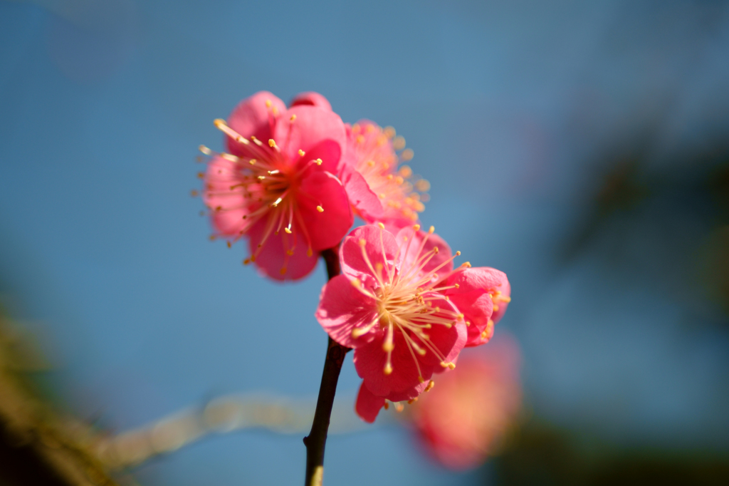 20150201_1