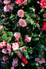 20150328_4