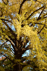 20141123_3
