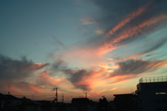 撮らざるをえない