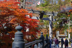 古峰神社紅葉　2019