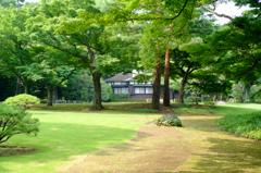 殿ヶ谷戸庭園