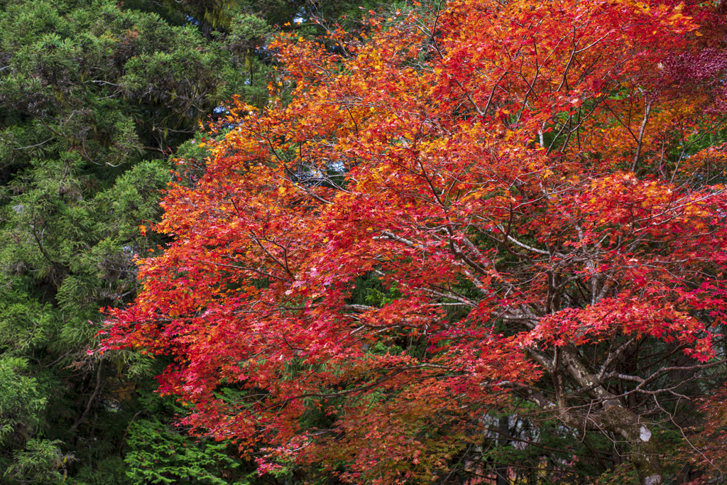 佐久山御殿山公園