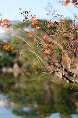 20141122_1