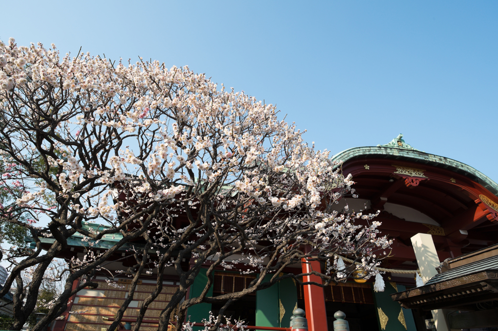 20140309_2