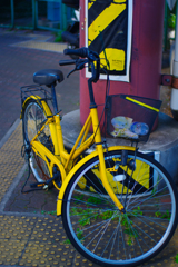 黄色の自転車に注意