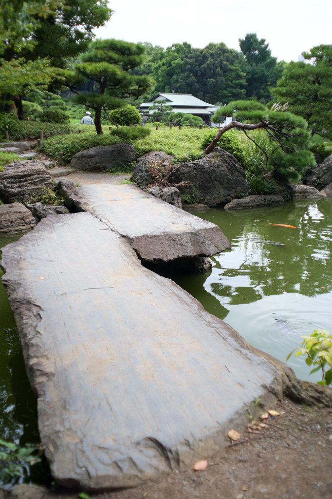 清澄白河庭園　石橋