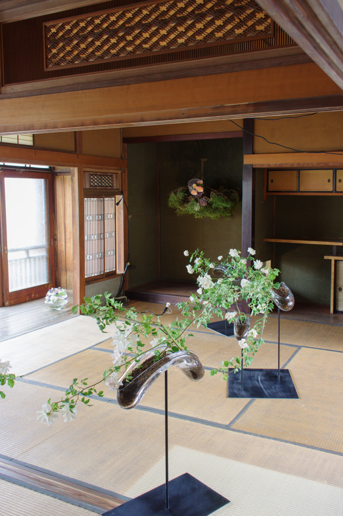 足利　はなとうつわ展にて