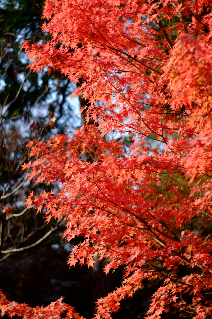 20141124_2