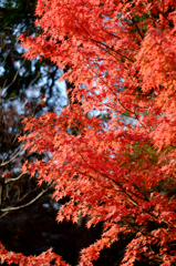 20141124_2