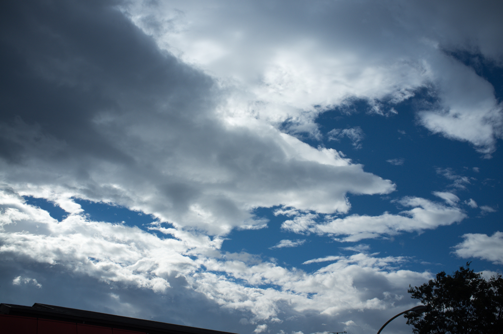 DSCF0458