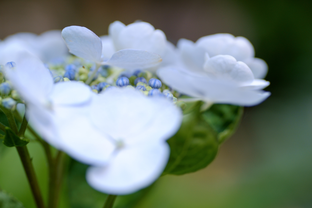 20150607_4