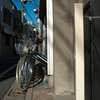 道端の自転車（列）