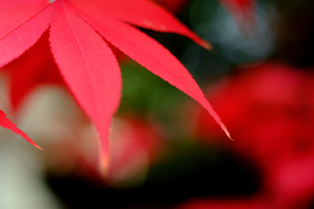 20141124_5