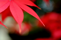 20141124_5