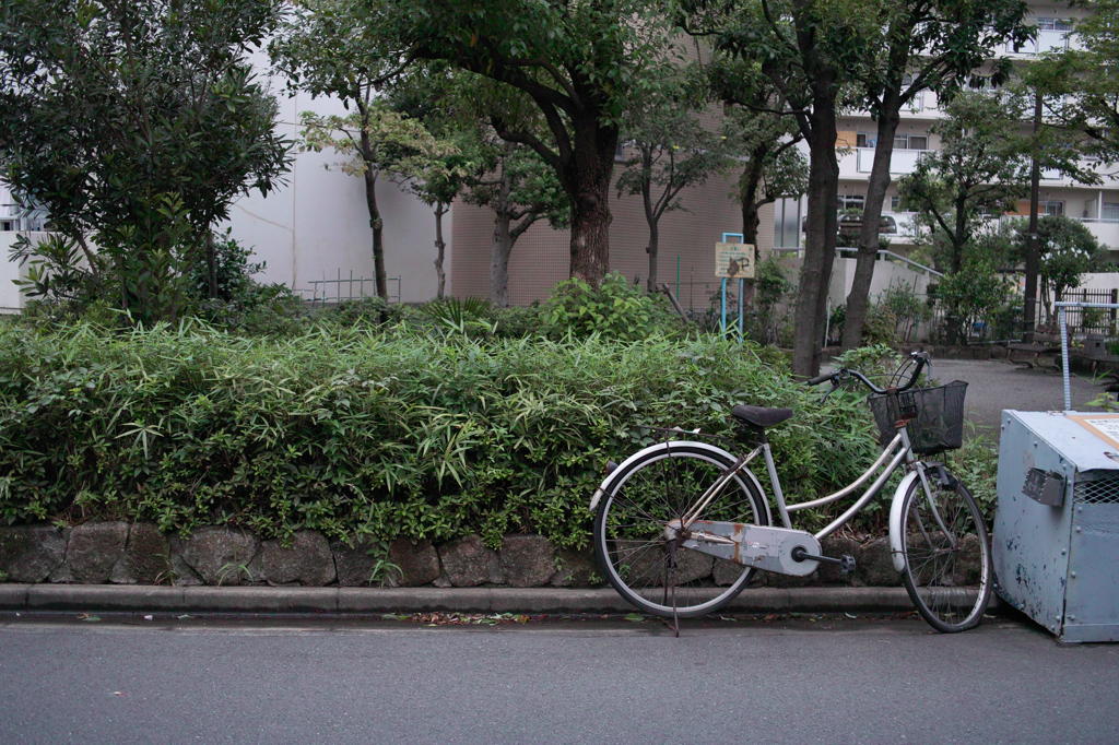 忘れられなくて