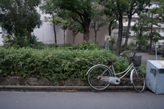 忘れられなくて